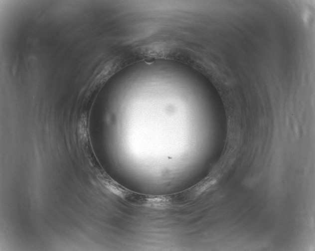 X0000065260240200602171503