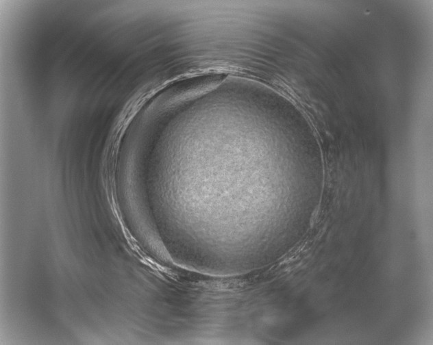 X0000065260241200602171502