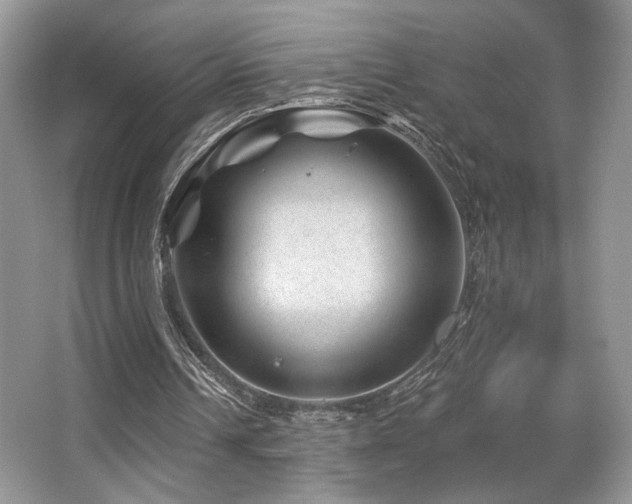 X0000065260242200602171502