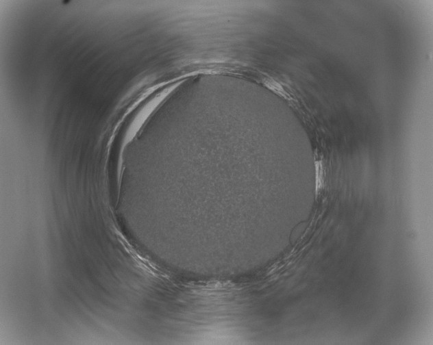 X0000065260243200602171502