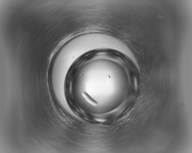 X0000065260244200602171502