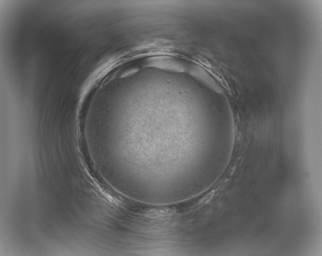 X0000065260245200602171502