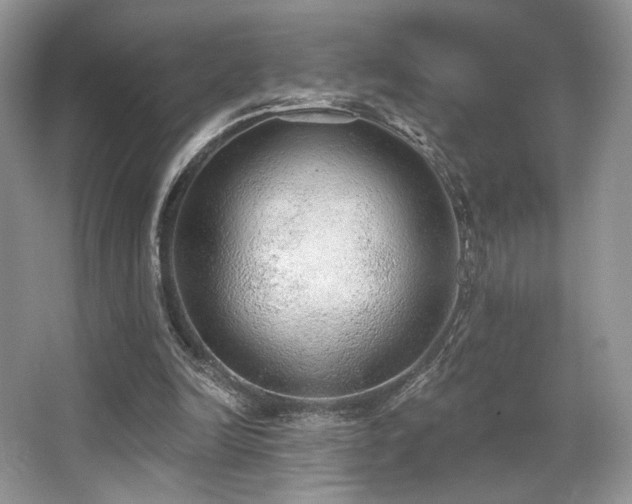 X0000065260246200602171502