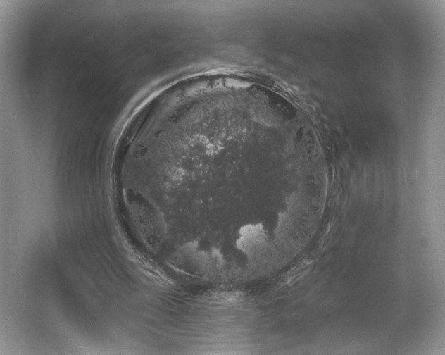 X0000065260247200602171502