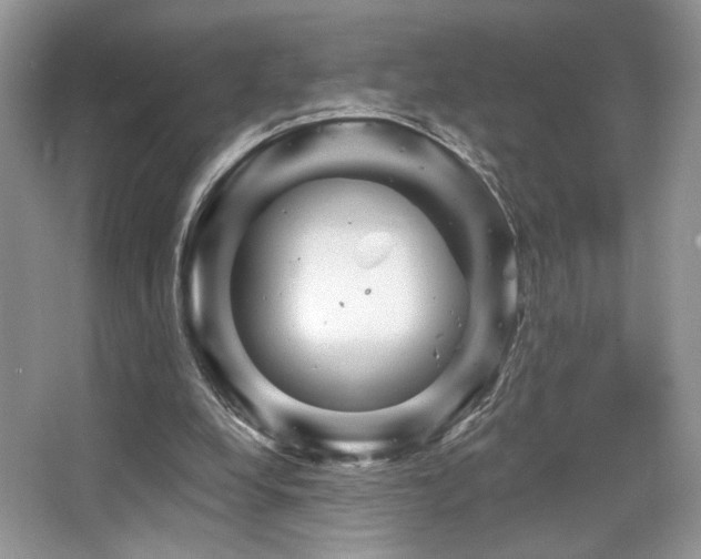 X0000065260248200602171502