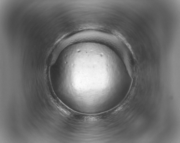 X0000065260249200602171502