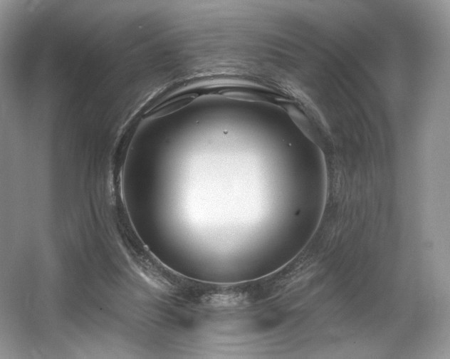 X0000065260251200602171502