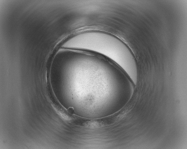 X0000065260253200602171502