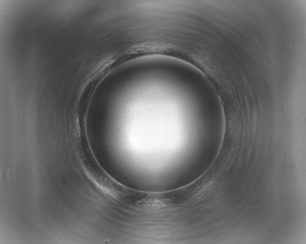 X0000065260254200602171502