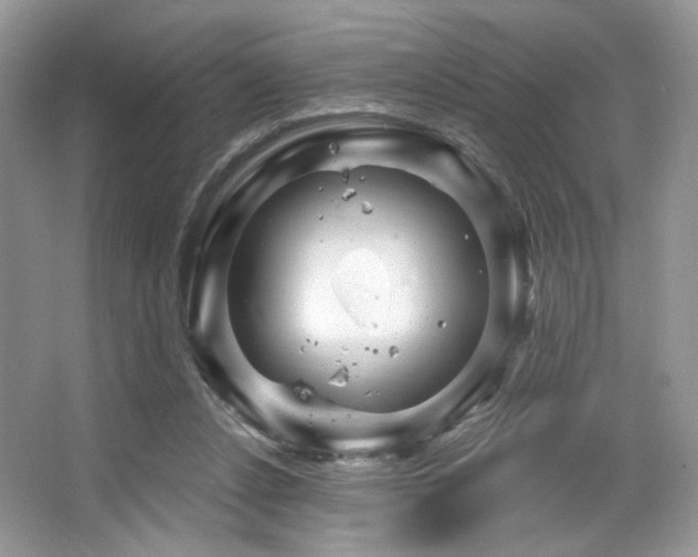 X0000065260256200602171502