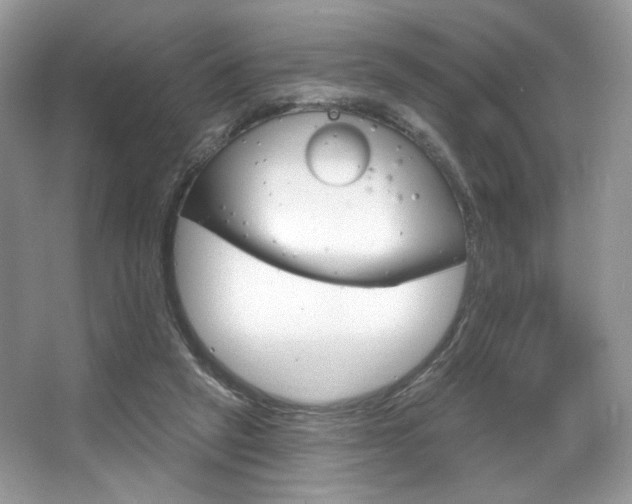 X0000065260257200602171502