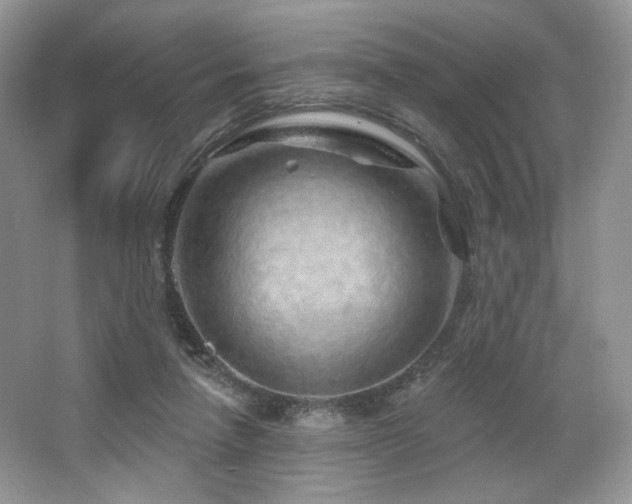 X0000065260258200602171502