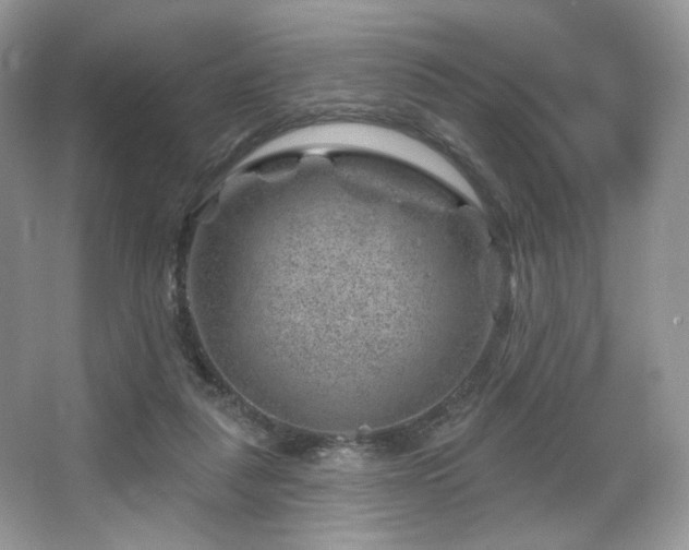 X0000065260259200602171502