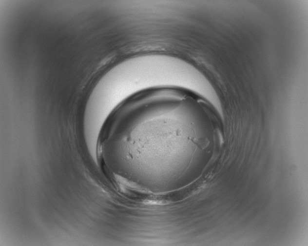 X0000065260260200602171502