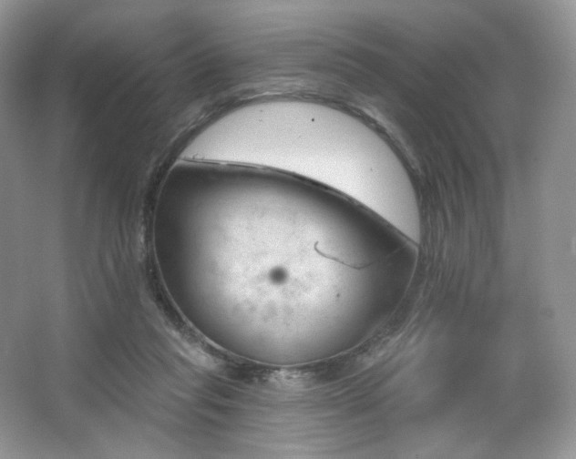 X0000065260261200602171502