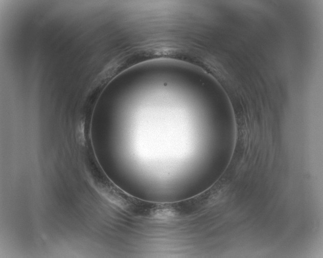 X0000065260262200602171502