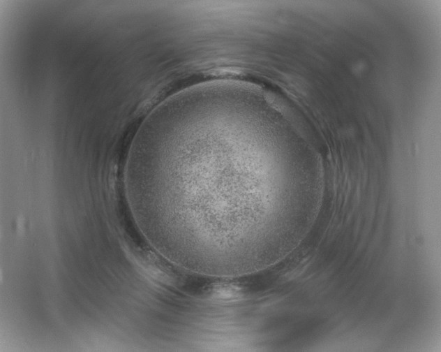 X0000065260263200602171502