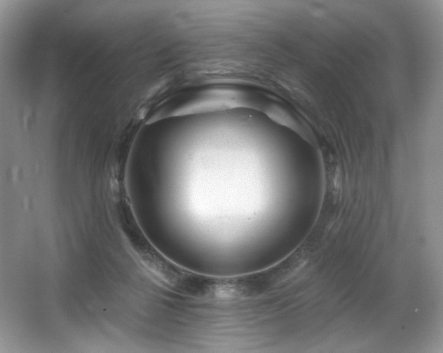 X0000065260264200602171502