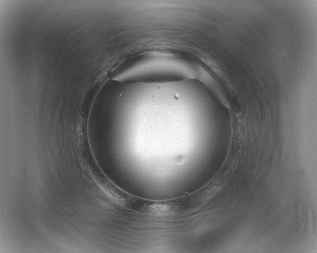 X0000065260265200602171502