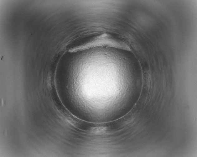 X0000065260266200602171502