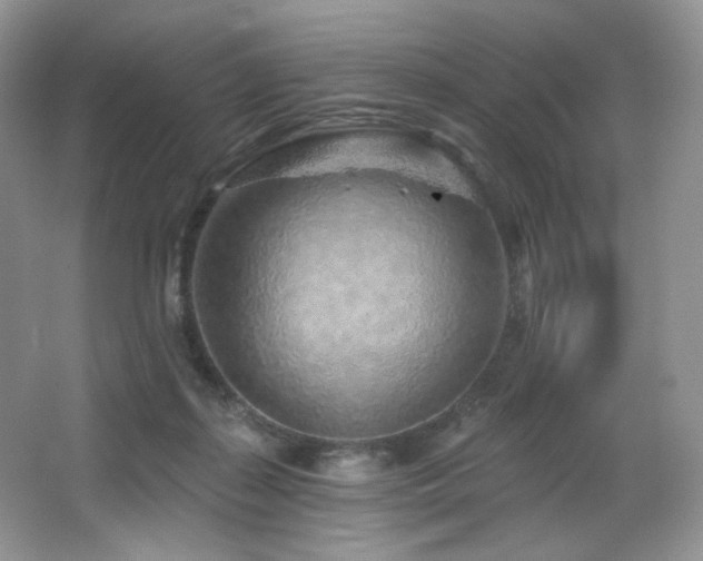 X0000065260267200602171502