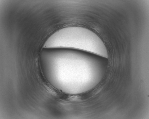 X0000065260269200602171502