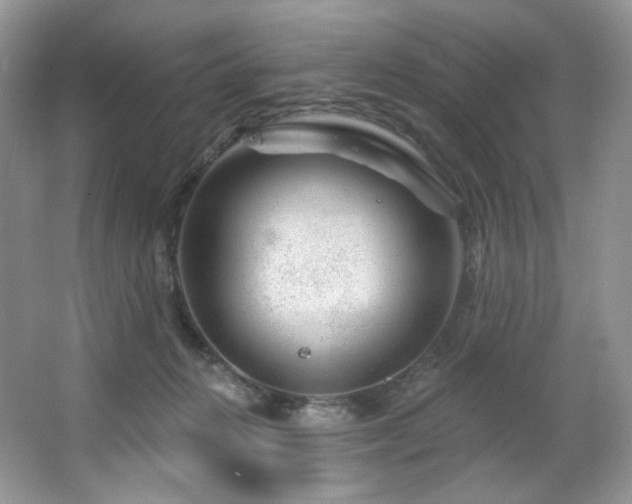 X0000065260270200602171502