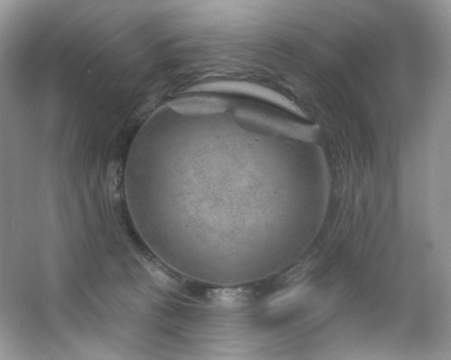 X0000065260273200602171502