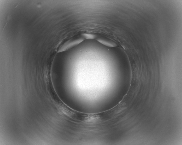 X0000065260274200602171502