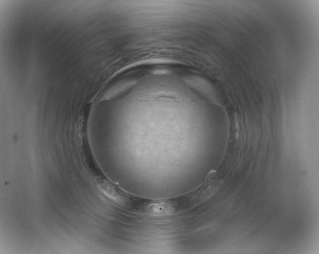 X0000065260275200602171503