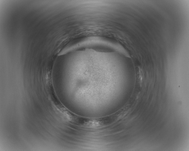 X0000065260276200602171503