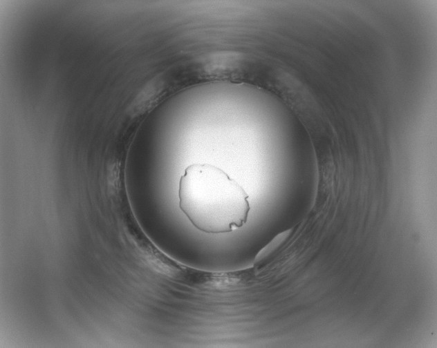 X0000065260278200602171503