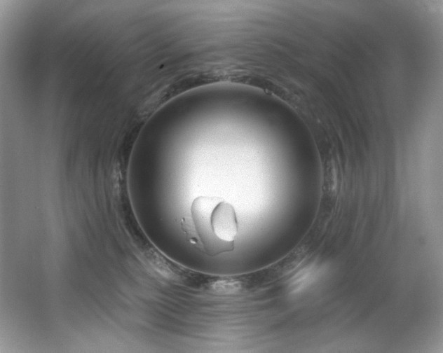 X0000065260279200602171503