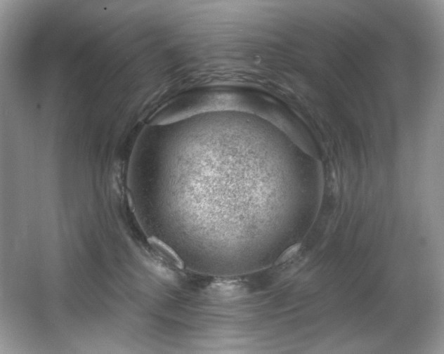 X0000065260280200602171503