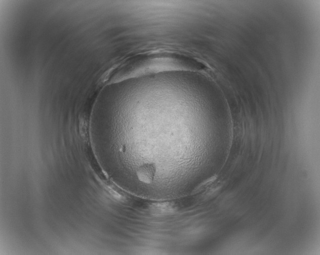 X0000065260281200602171503