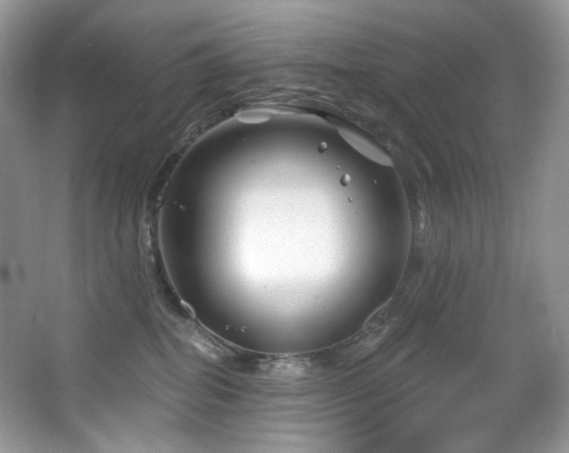 X0000065260282200602171503