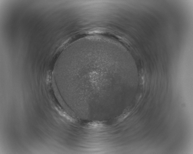 X0000065260284200602171503