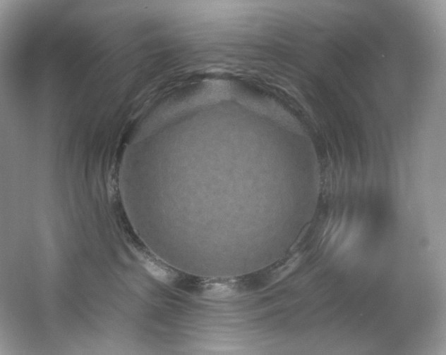 X0000065260285200602171503