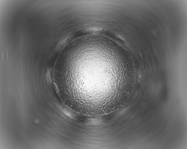 X0000065260286200602171503