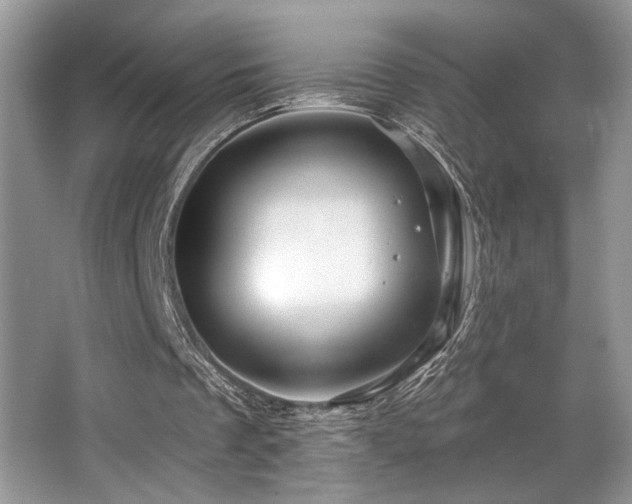 X0000065260289200602171502