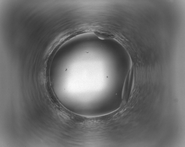 X0000065260291200602171502