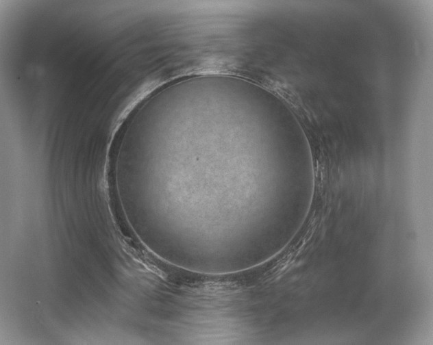 X0000065260292200602171502