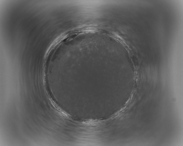 X0000065260293200602171502