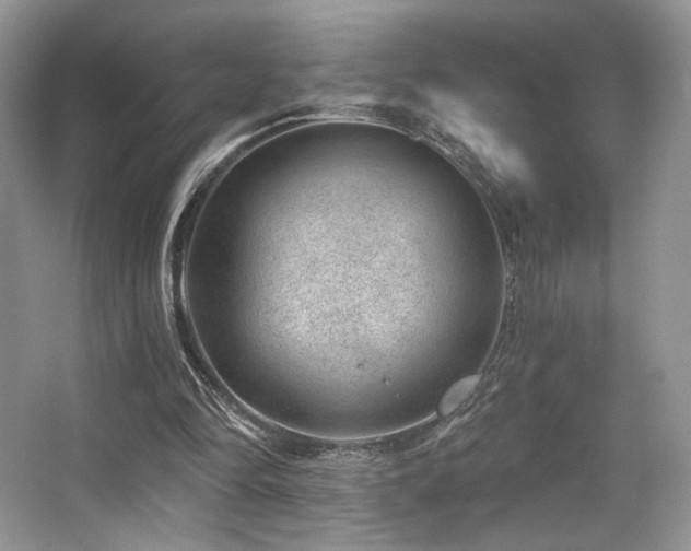 X0000065260294200602171502