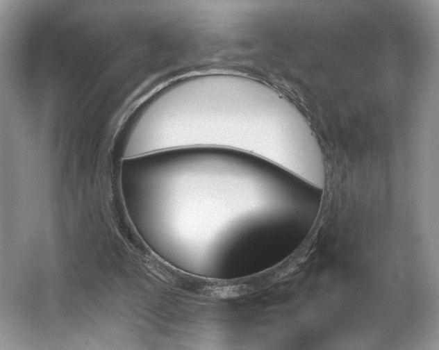 X0000065260295200602171502