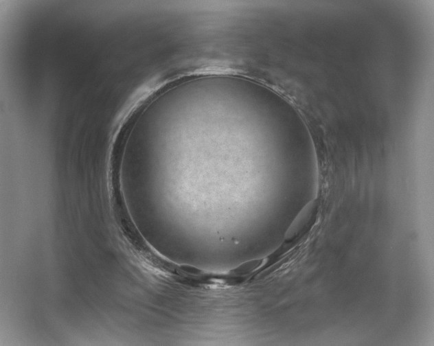 X0000065260296200602171502