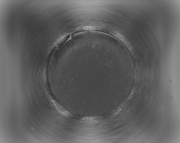 X0000065260297200602171502