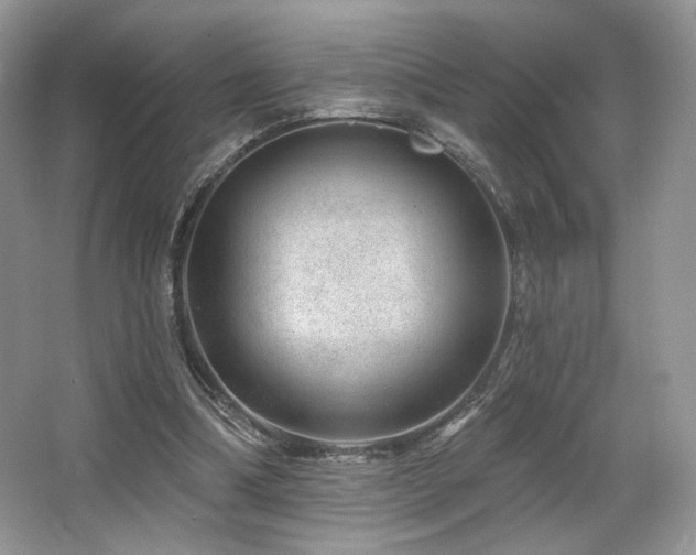 X0000065260298200602171502