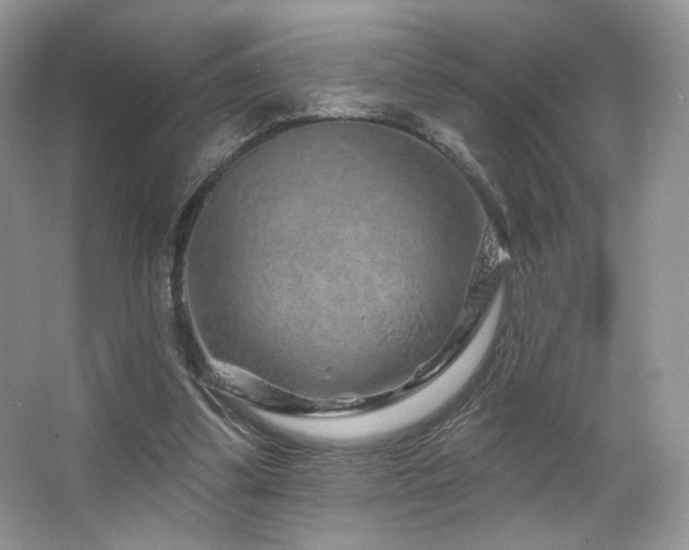 X0000065260299200602171502