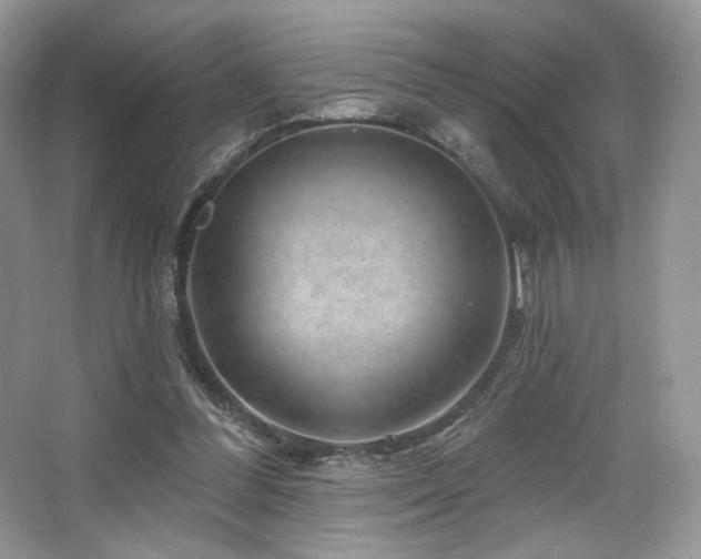 X0000065260300200602171502